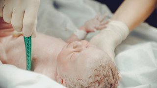 Postnatal Growth and Nutrition: Supporting Extremely Low Birth Weight Infants