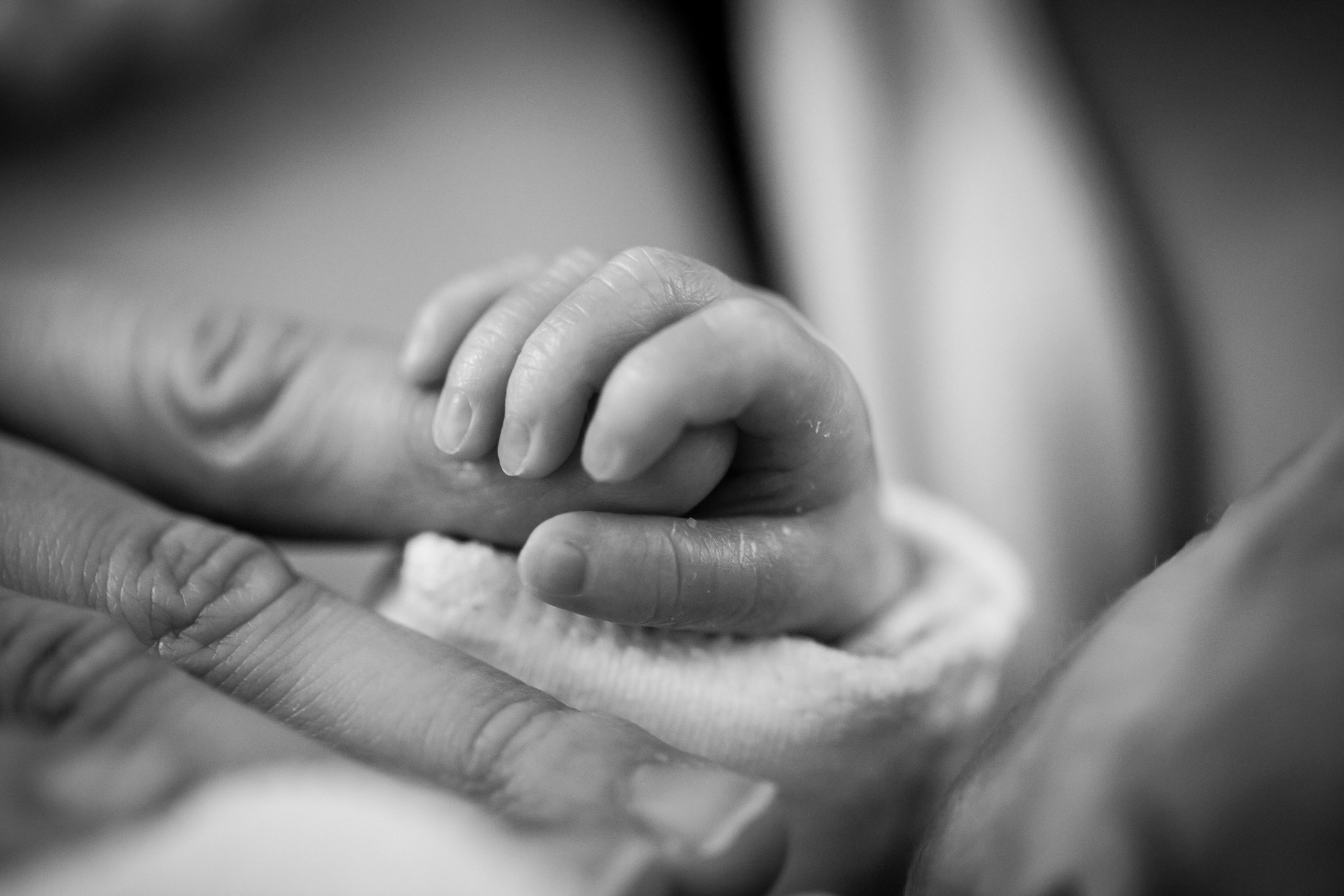 A close-up black and white image of a newborn’s hand gently grasping an adult’s finger, symbolizing connection, protection, and the bond between caregiver and infant.