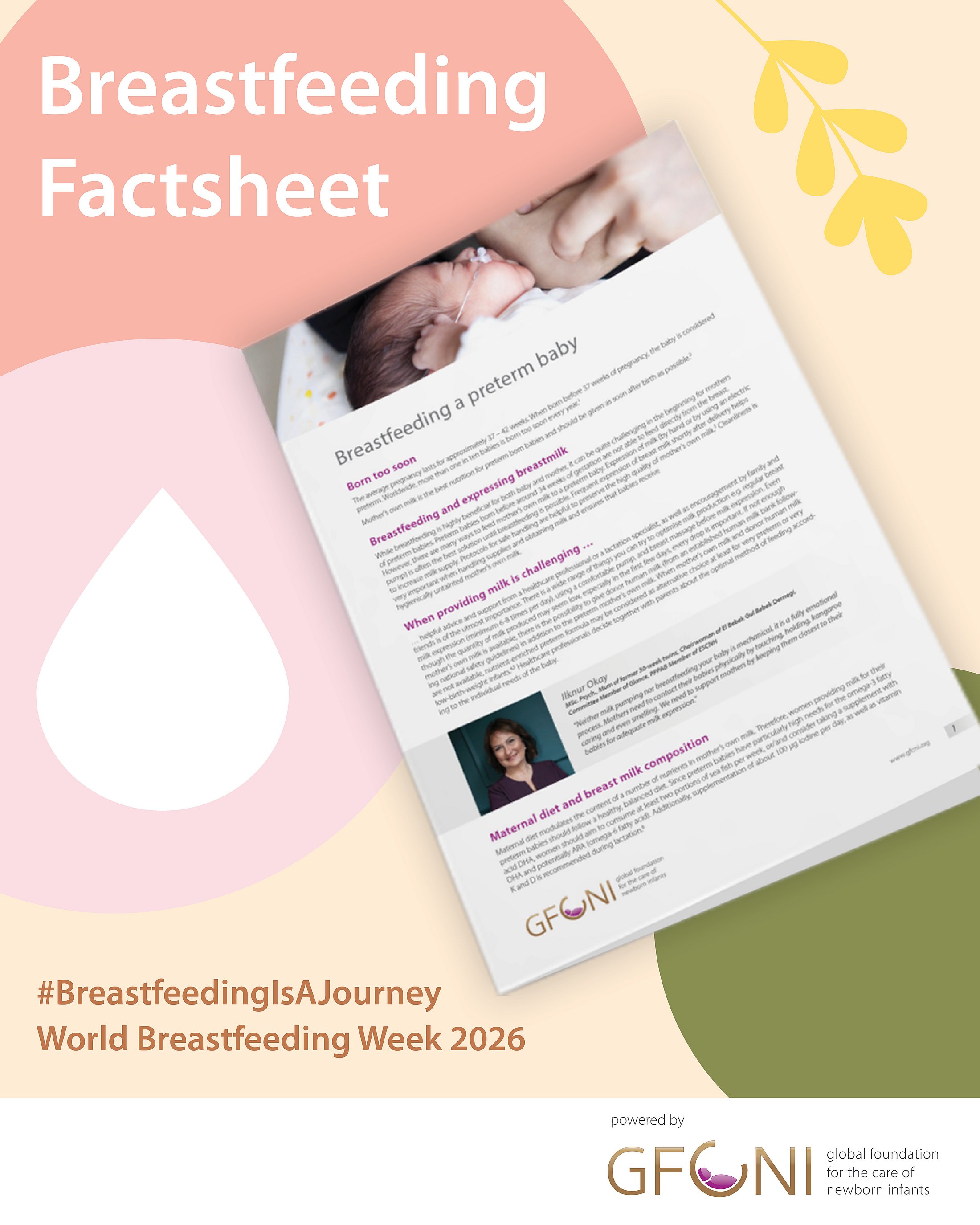 Illustrated factsheet titled "Breastfeeding a preterm baby" with infographic and expert quotes.