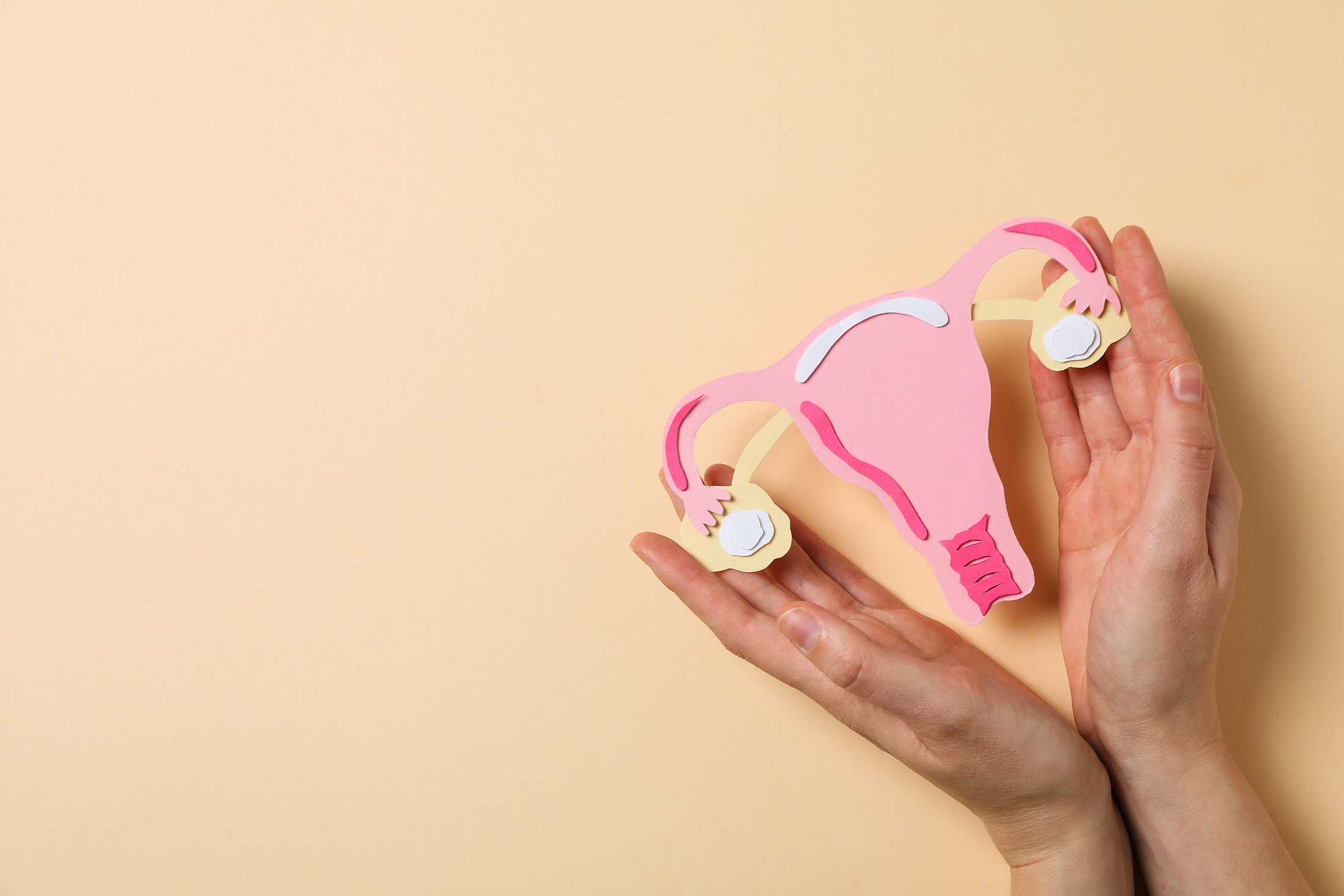 Hands hold a model of a uterus with fibroids against a neutral background. The image illustrates pregnancy with fibroids and supports discussion of individualized pregnancy care based on fibroid characteristics.