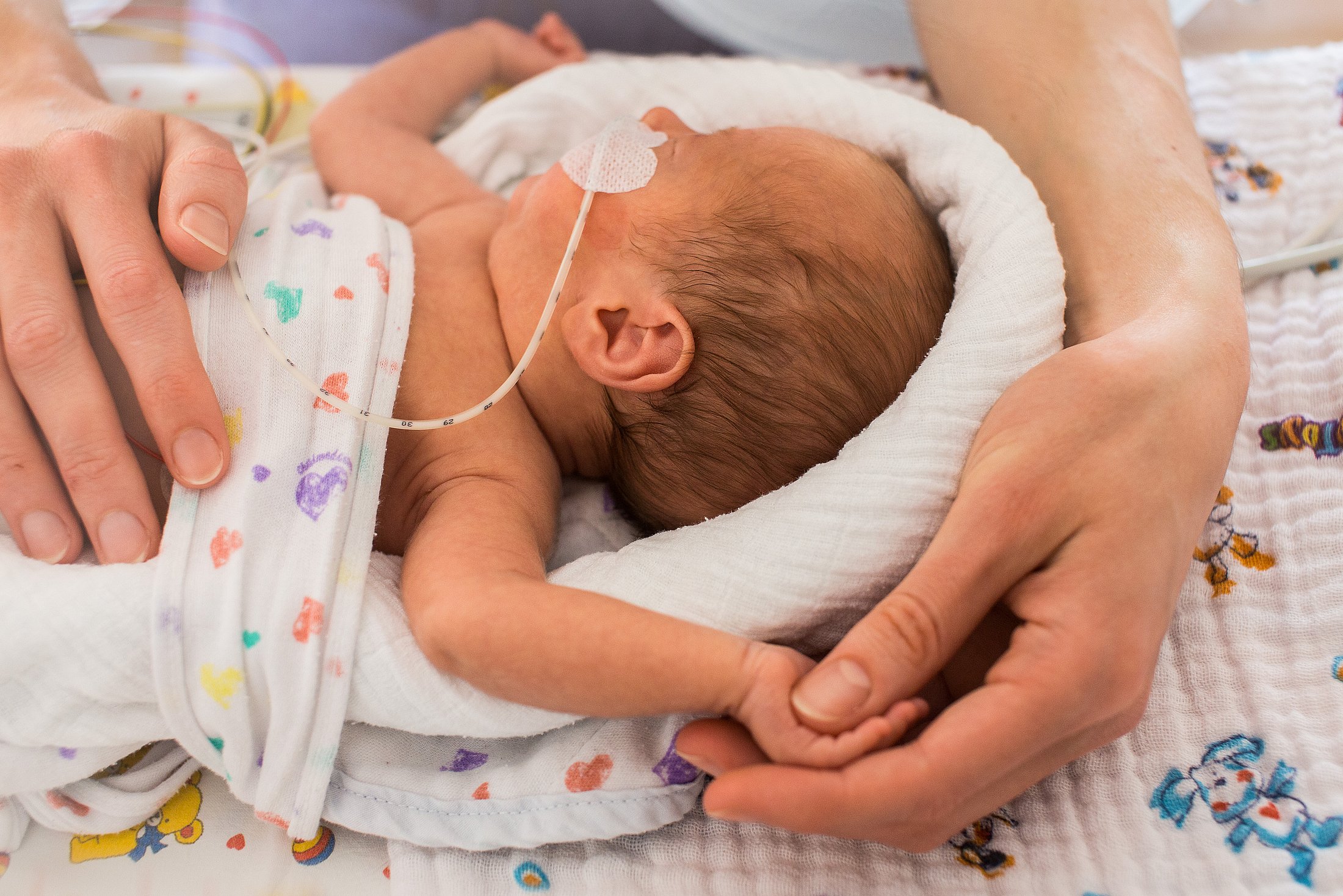 Gentle Family Contact in Neonatal Care Preterm infant resting on a soft support while holding a caregiver’s finger.