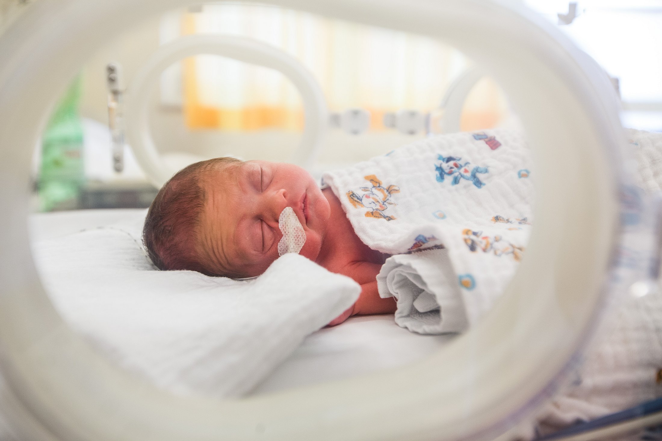 Preterm Infant Resting in the Neonatal Unit Small preterm infant sleeping beneath a patterned blanket in a neonatal care bed.