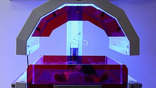 Phototherapy in Very Preterm Newborn Care: New Safety Insights