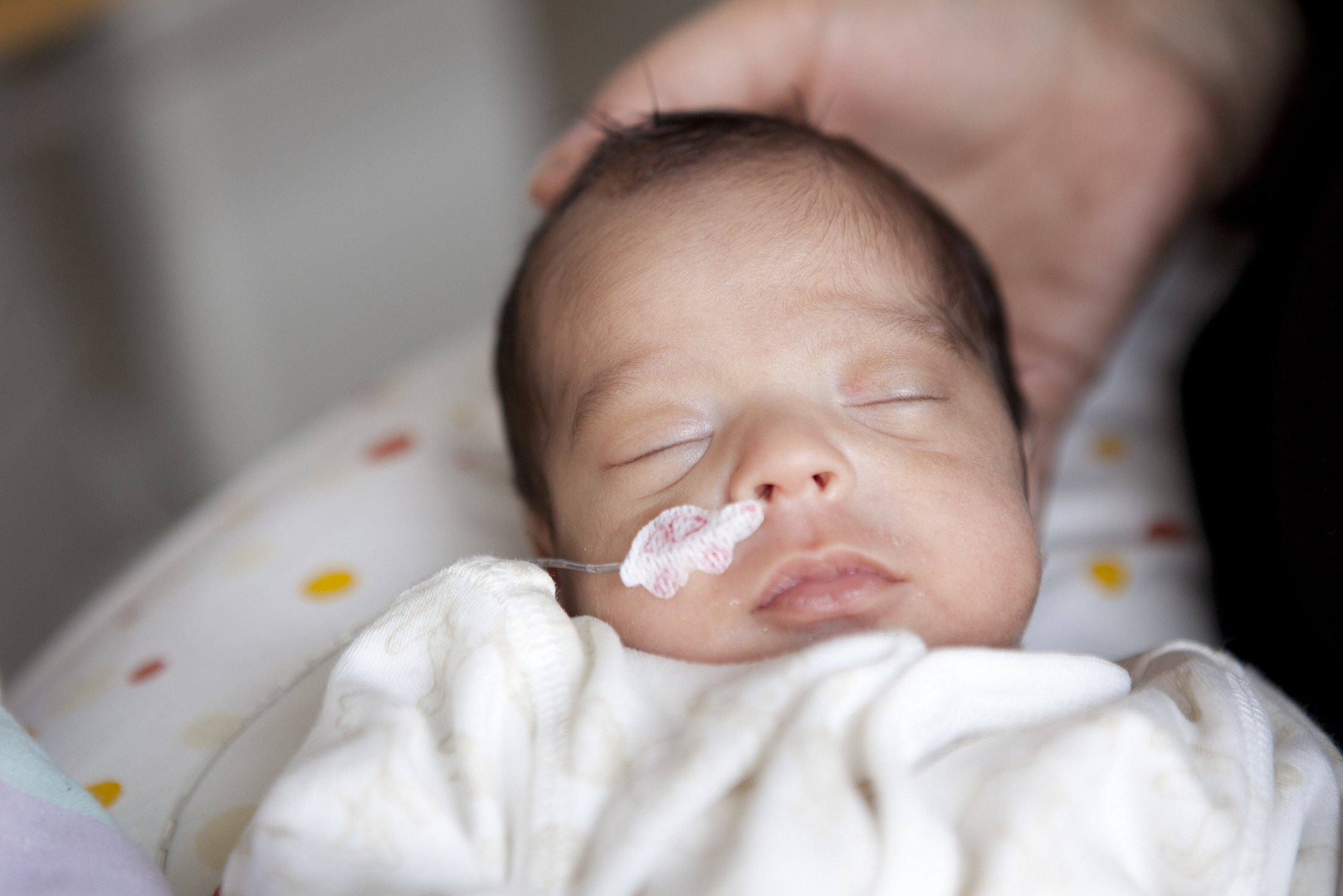 Preterm Infant Receiving Nutritional Support Sleeping preterm infant wrapped in a blanket and receiving nutrition through a feeding tube while held by a caregiver.