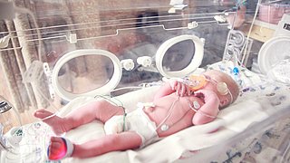 Extended Caffeine Therapy Reduces Intermittent Hypoxia in Preterm Infants 