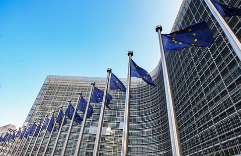 European Union flags waving outside a government building against a clear sky.