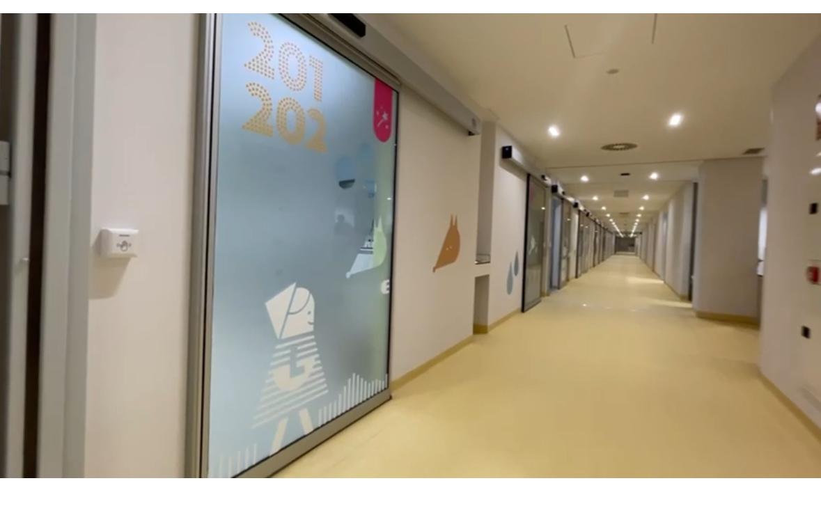 A brightly lit hospital corridor with numbered patient room doors decorated with playful animal illustrations and soft colors, creating a child-friendly and welcoming healthcare environment.