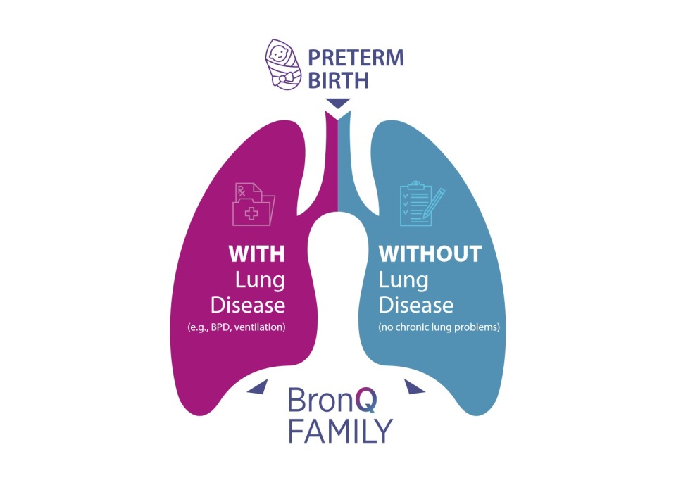 Graphic showing the study design with preterm birth at the top and both groups of families: with lung conditions like BPD and ventilation and without