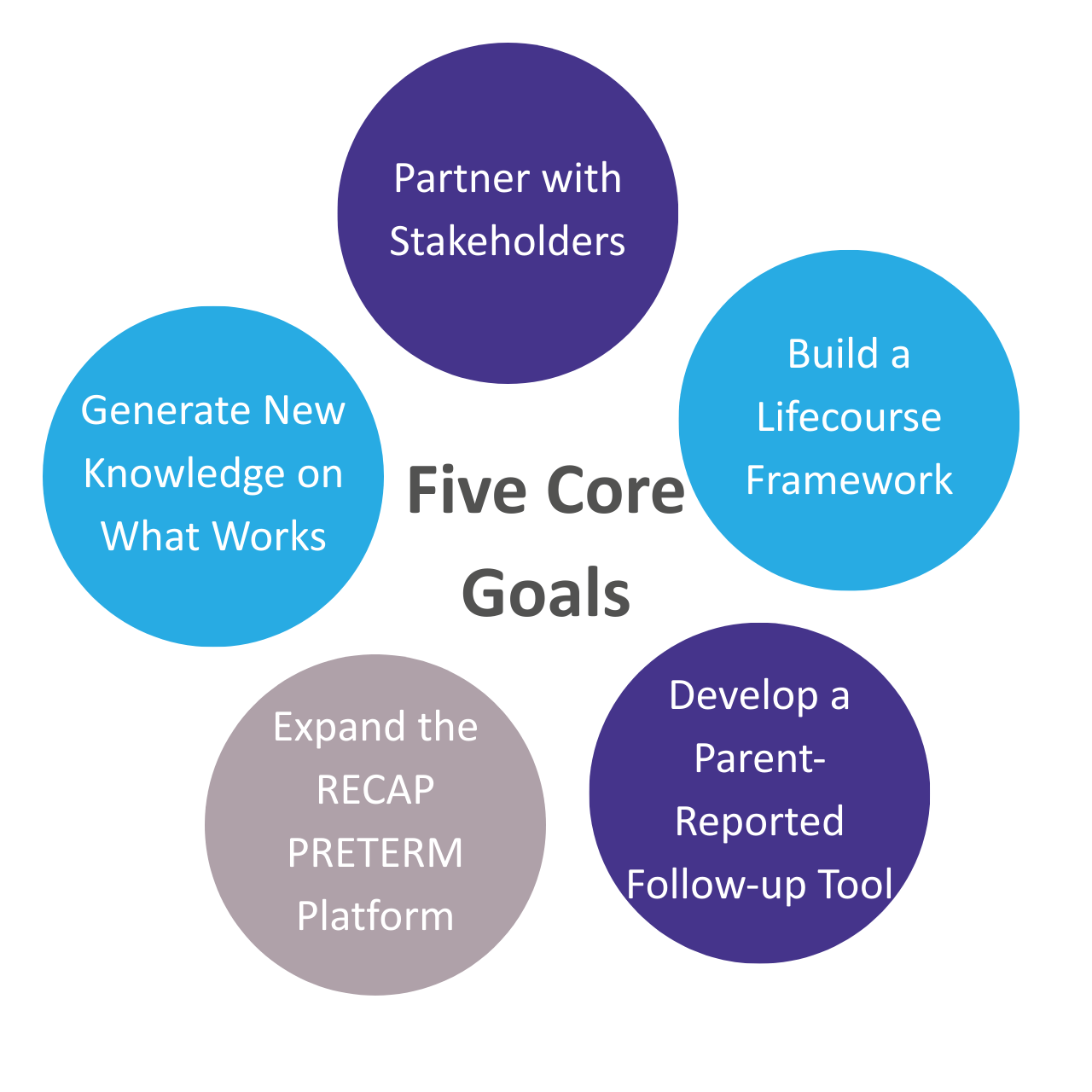 IMPROVE PRETERM_five core goals of the research project Infographic showing the five core goals of the IMPROVE PRETERM project focused on lifelong health after very preterm birth